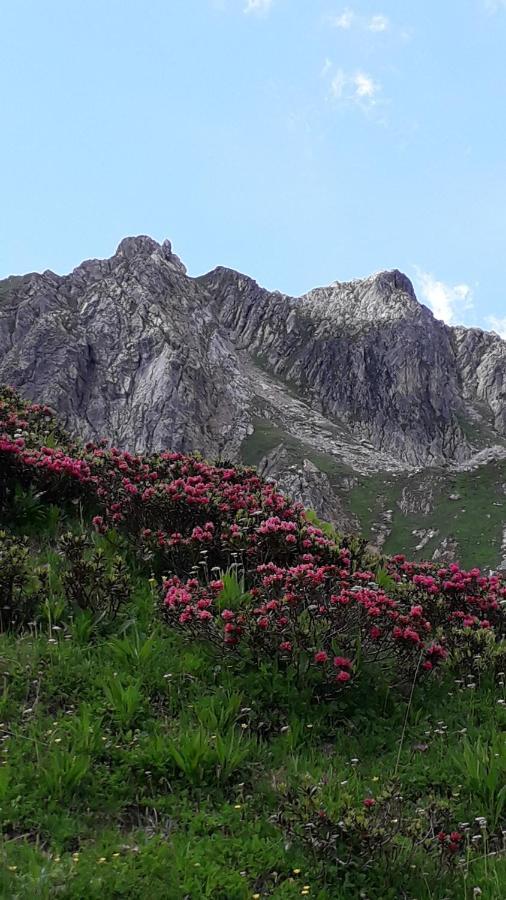 Les Campanules Leilighet Bourg-Saint-Maurice Eksteriør bilde