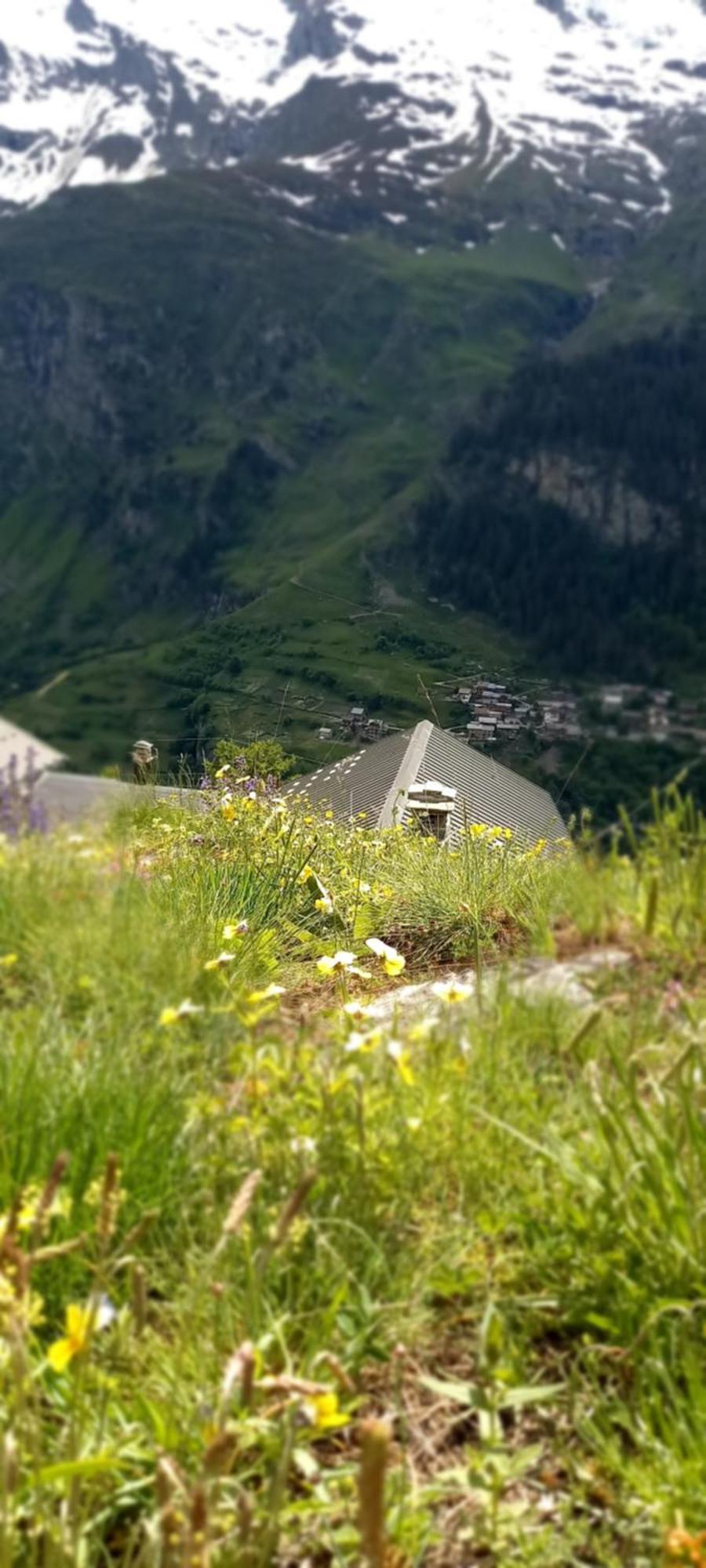 Les Campanules Leilighet Bourg-Saint-Maurice Eksteriør bilde