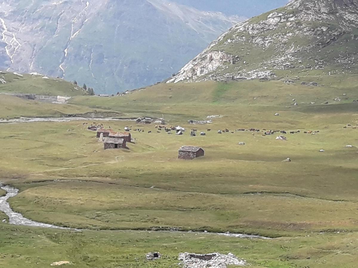 Les Campanules Leilighet Bourg-Saint-Maurice Eksteriør bilde